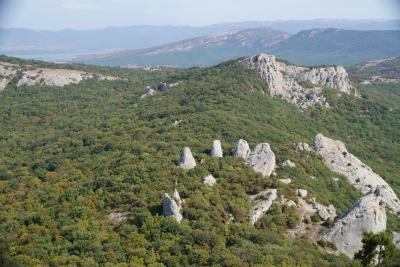 Прикрепленное изображение: A58DSC00691-1.jpg